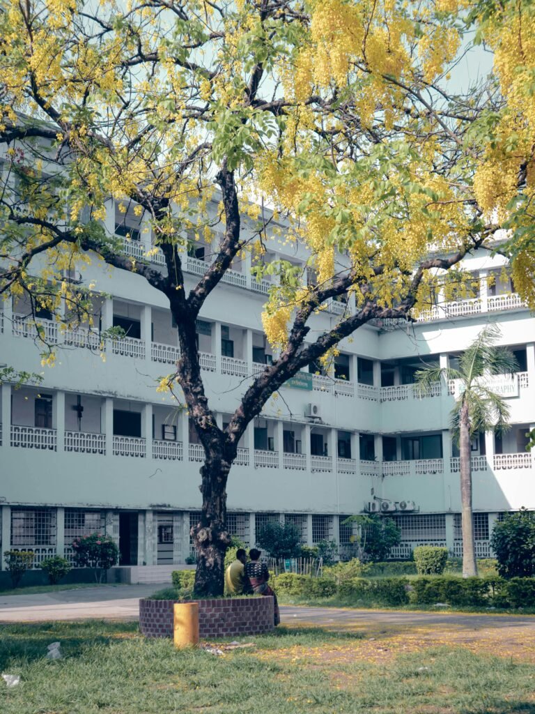 A beautiful courtyard with blooming trees in a Dhaka educational institution.